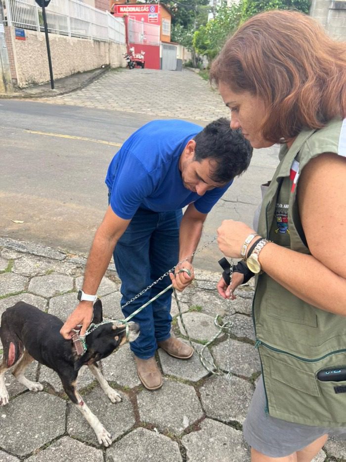 Denúncias de maus-tratos de animais e identificação do autor são fundamentais