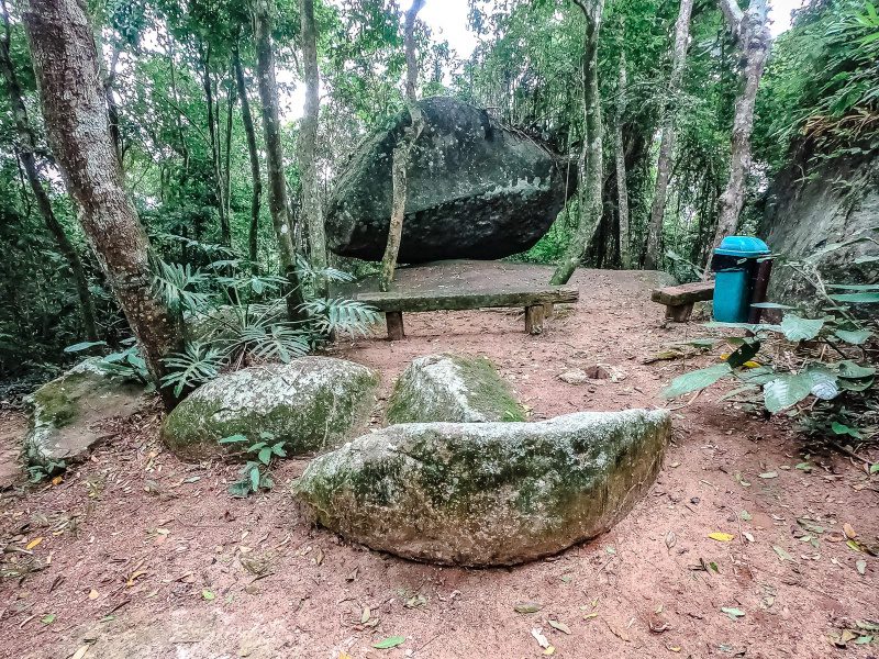Programa de proteção às florestas auxilia no cuidado e preservação da fonte verde de vida.