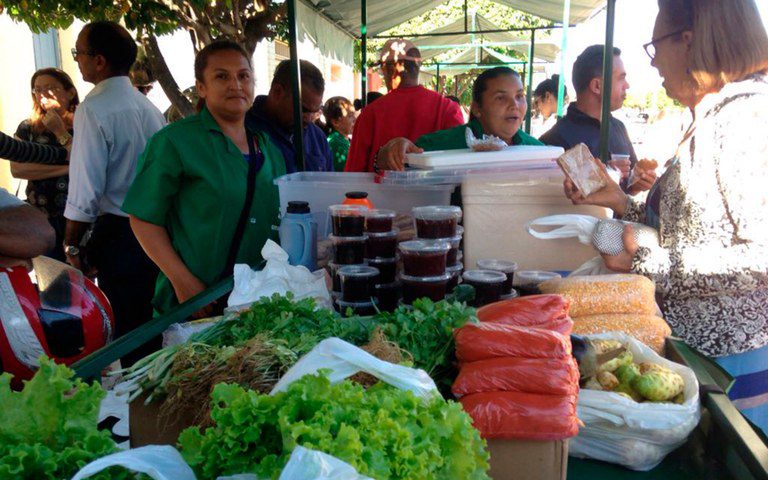 Agricultura Familiar Capixaba: Destaque em Feira que Inicia em 03 de Agosto