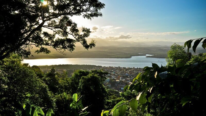 Educação Ambiental em foco: Estudantes exploram a Mata Atlântica no Parque da Fonte Grande
