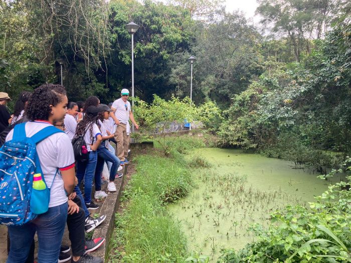 Expedição de Crianças no Parque da Fonte Grande: Explorando Trilhas e Nascentes