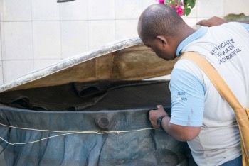 Mutirão Contra a Dengue Chega em Resistência nesta Quarta(17)