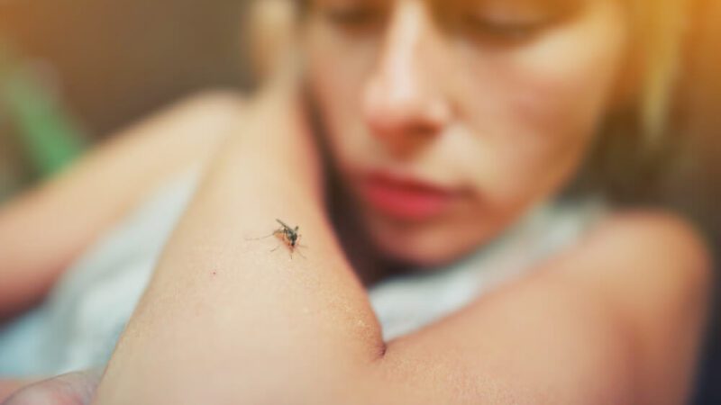 Conheça 7 sinais que indicam quadro mais grave da dengue