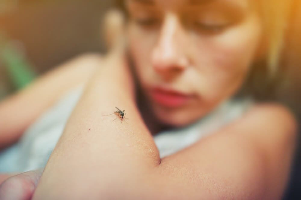 Conheça 7 sinais que indicam quadro mais grave da dengue