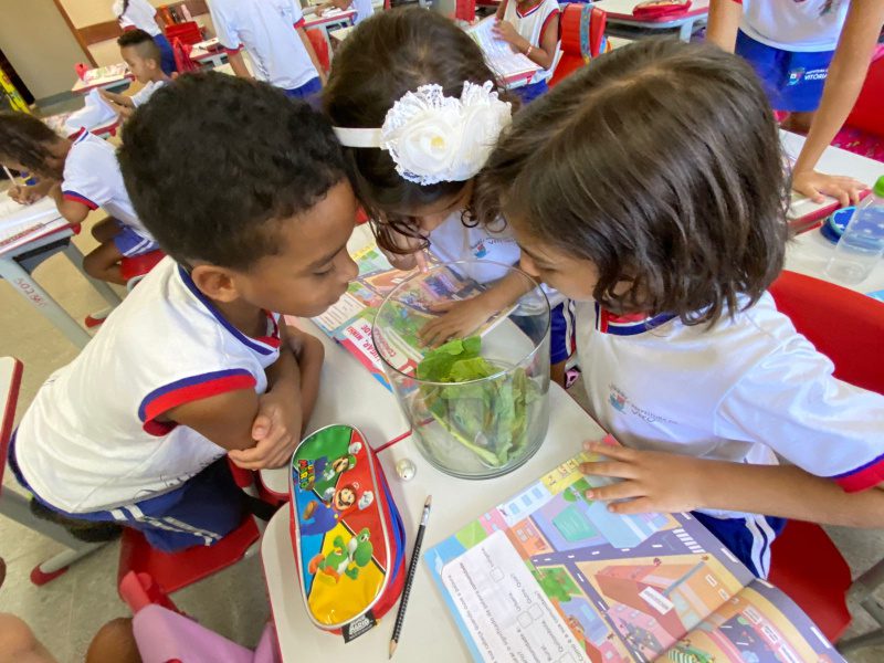 Vitória quadruplica o número de vagas para o ensino integral e vira referência nacional