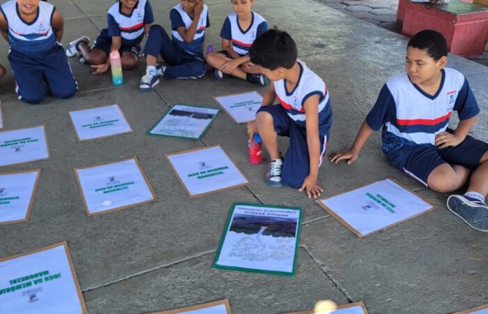 Aula ao Ar Livre: Estudantes Exploram os Segredos do Manguezal de Vitória