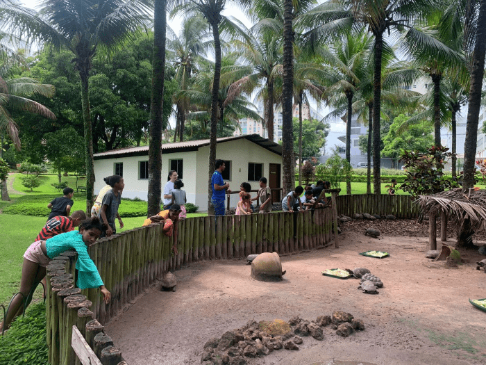 Explorando a Natureza: Crianças do Bairro do Quadro Participarão de Atividades Ambientais na Mata Paludosa