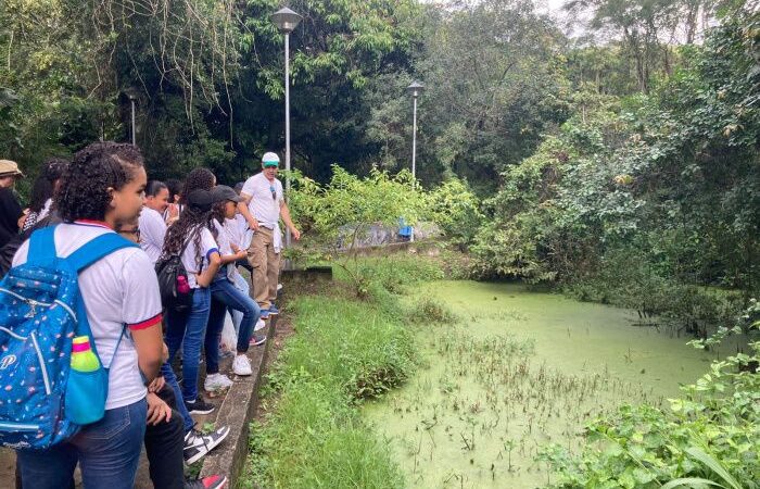 Expedição de Crianças no Parque da Fonte Grande: Explorando Trilhas e Nascentes