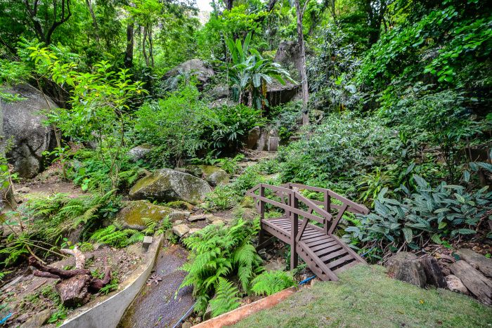 Moradores e Escoteiros se Unem em Ação Cidadã no Parque Gruta da Onça neste Sábado