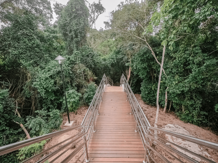 Parque da Fonte Grande Será Utilizado como Centro de Estudos para Alunos de Engenharia do Ifes