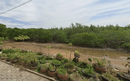 Vitória amplia conservação ambiental com Área de Proteção Ninho das Garças